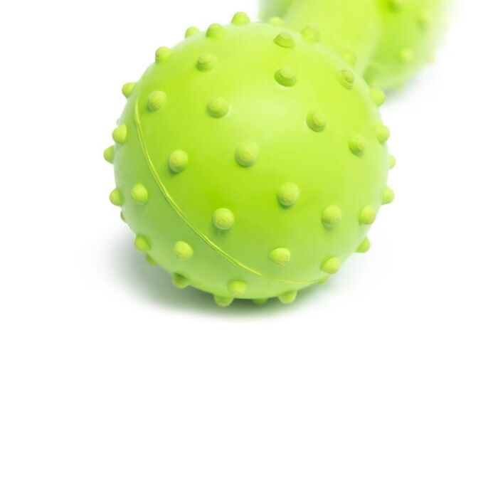 Natural Rubber Dumbbell Chew Toy