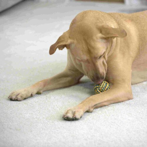 Braided Rope Ball Toy