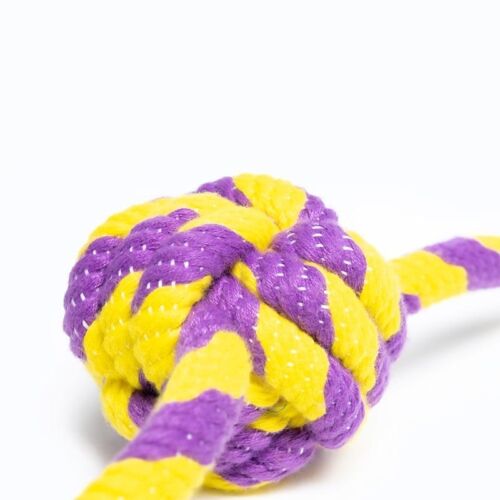 Braided Rope Ball with Two Knots Dog Toy