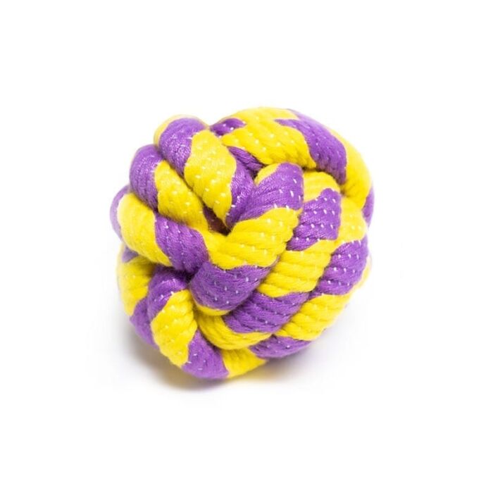 Braided Rope Toy