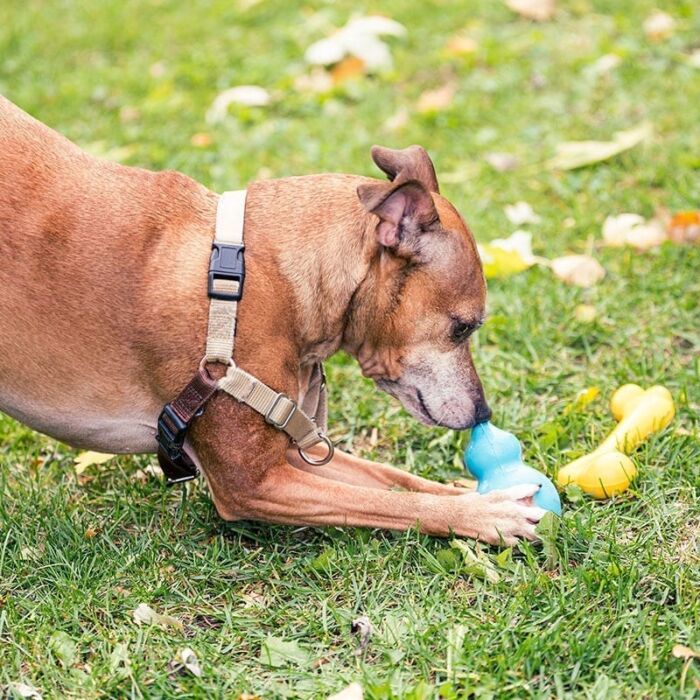 Natural Rubber Refillable Treat Toy