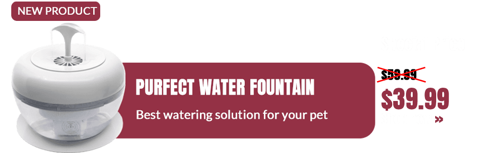 water fountain for cat banner