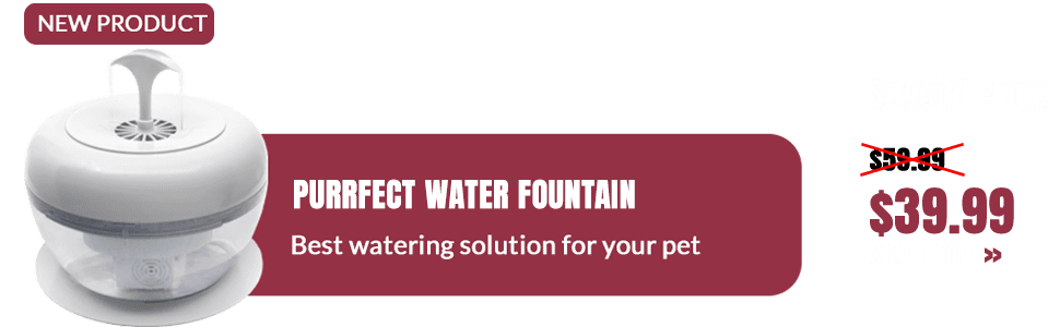 water fountain for cat banner
