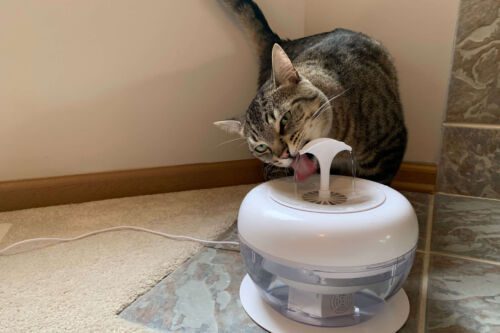 IntelliLeash PURRoducts Purrfect Water Fountain for Cats and other Small Pets