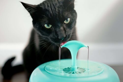 IntelliLeash PURRoducts Purrfect Water Fountain for Cats and other Small Pets