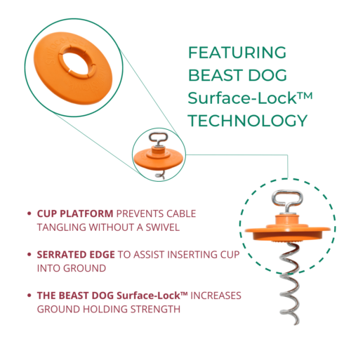 Intelli-Stayk™ with Beast Dog Surface-Lock™